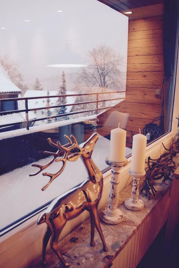 Chalet Am Hasselkopf Braunlage Luaran gambar